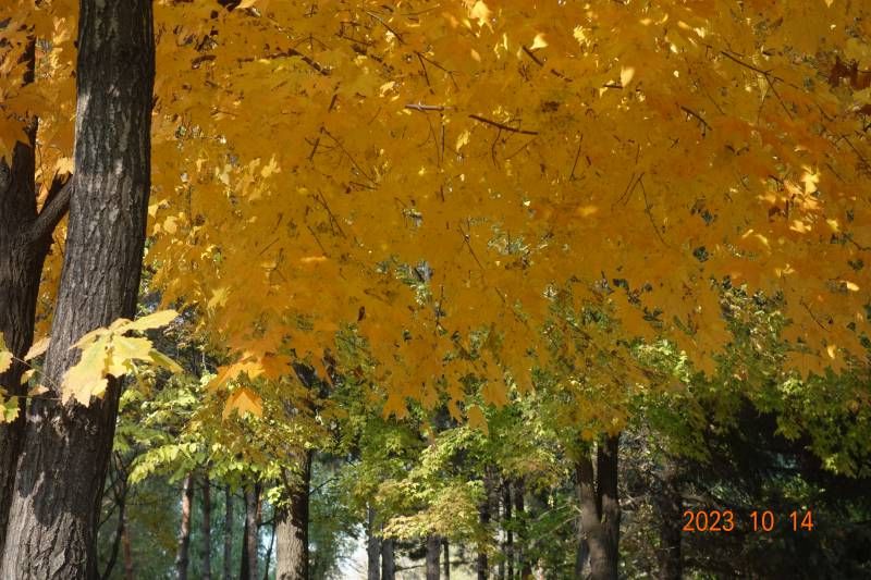 ΢��ͼƬ_20231014182659.jpg