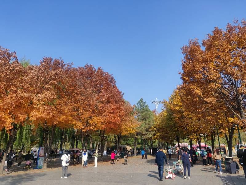 ΢��ͼƬ_20231014193302.jpg