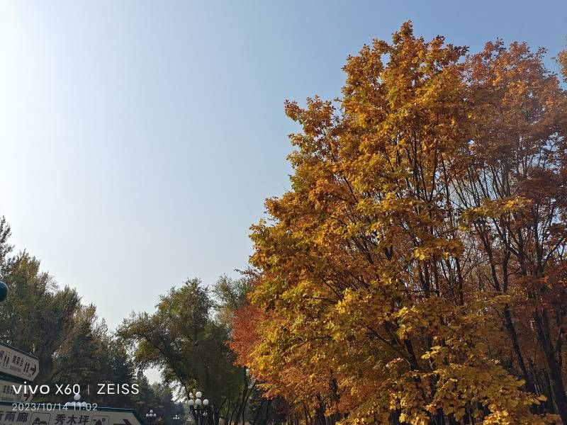 ΢��ͼƬ_20231014210047.jpg