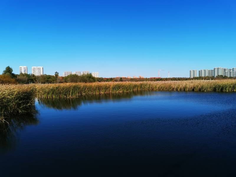 ΢��ͼƬ_20231021215509.jpg