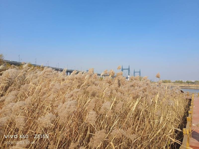 ΢��ͼƬ_20231024203517.jpg