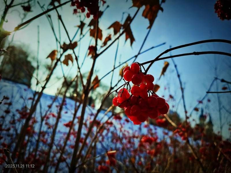 ΢��ͼƬ_20231121205628.jpg