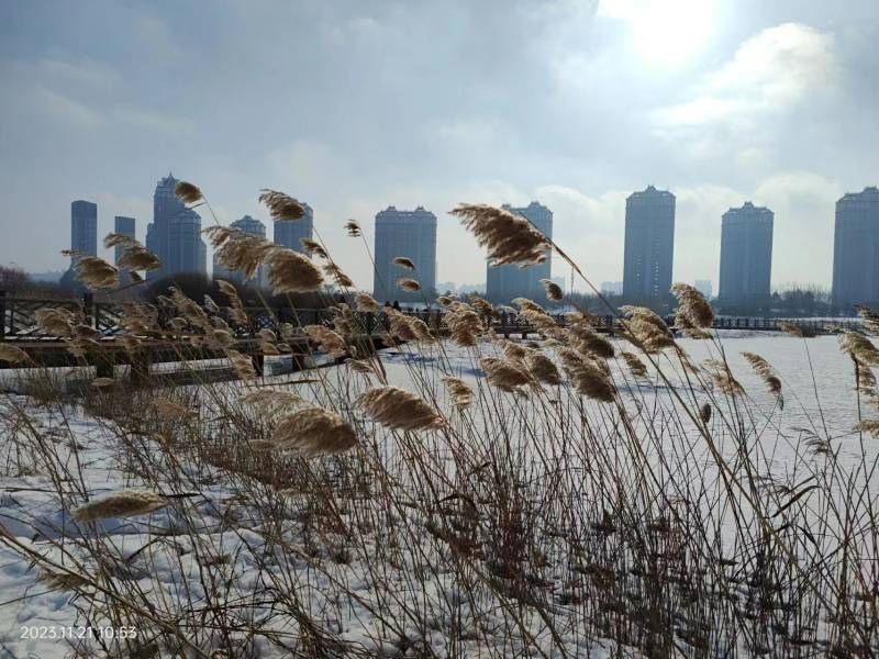 ΢��ͼƬ_20231121205600.jpg