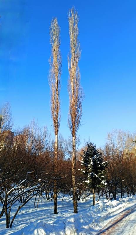 ΢��ͼƬ_20231128143621.jpg