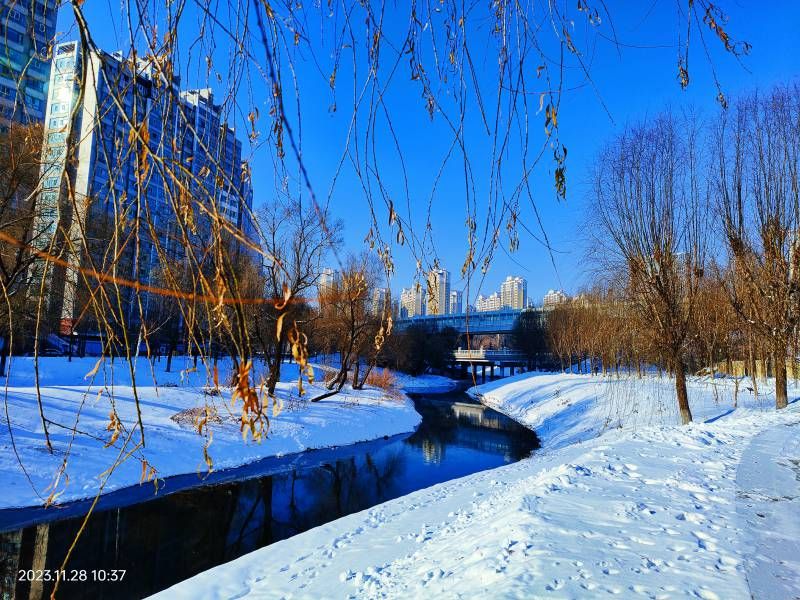 ΢��ͼƬ_20231128143949.jpg