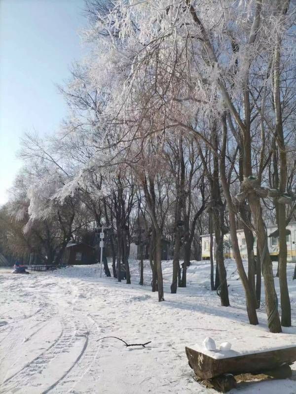 ΢��ͼƬ_20231223211056.jpg