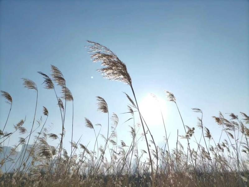 ΢��ͼƬ_20231223211119.jpg