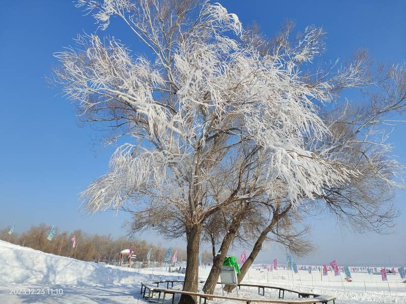 ΢��ͼƬ_20231223212123.jpg