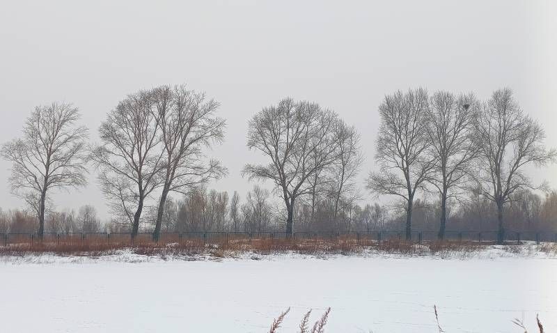 ΢��ͼƬ_20231230203426.jpg