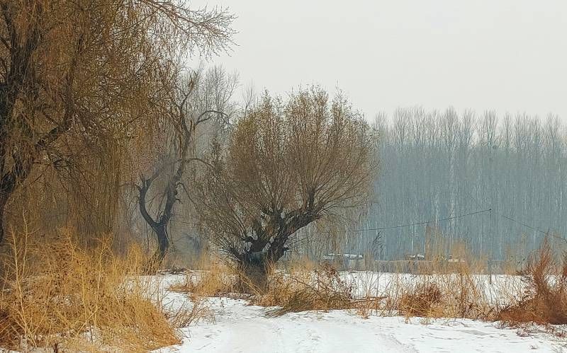 ΢��ͼƬ_20231230203528.jpg