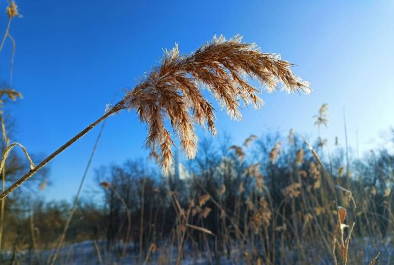 ΢��ͼƬ_20240109205520.jpg