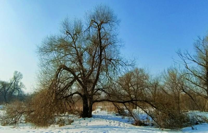 ΢��ͼƬ_20240203171821.jpg