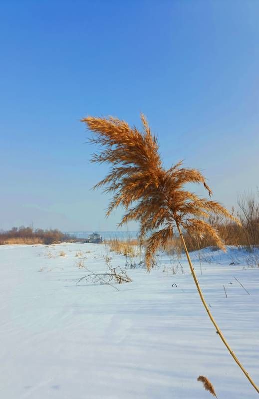 ΢��ͼƬ_20240203171723.jpg