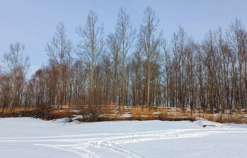 ΢��ͼƬ_20240206204129.jpg
