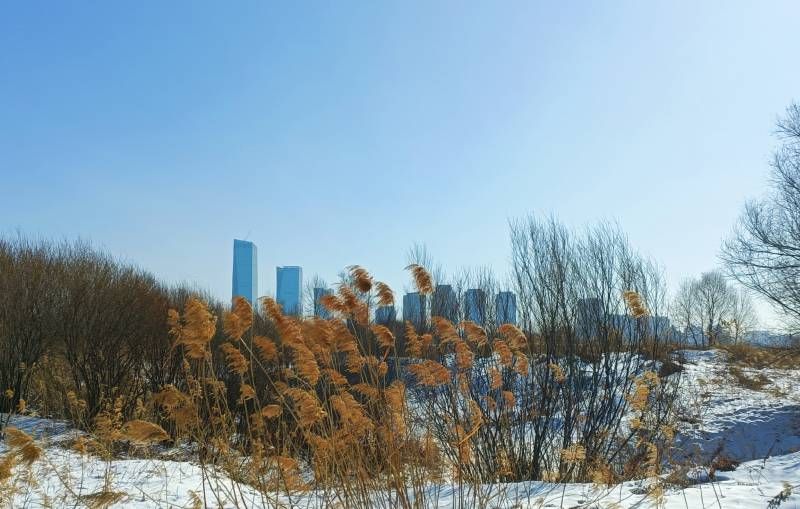 ΢��ͼƬ_20240302171749.jpg