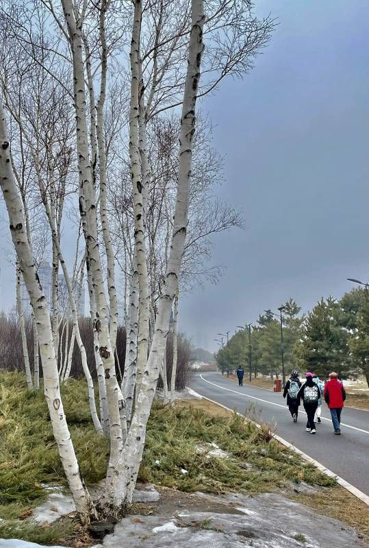 ΢��ͼƬ_20240323191826.jpg
