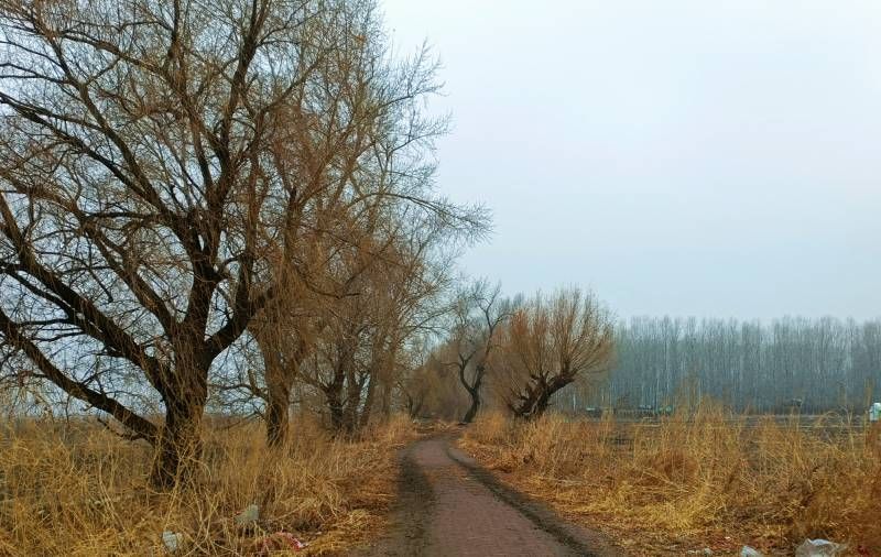΢��ͼƬ_20240323192505.jpg