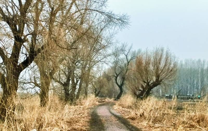 ΢��ͼƬ_20240323192519.jpg