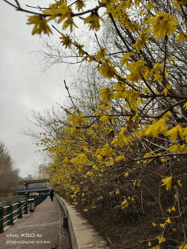 ΢��ͼƬ_20240416195707.jpg