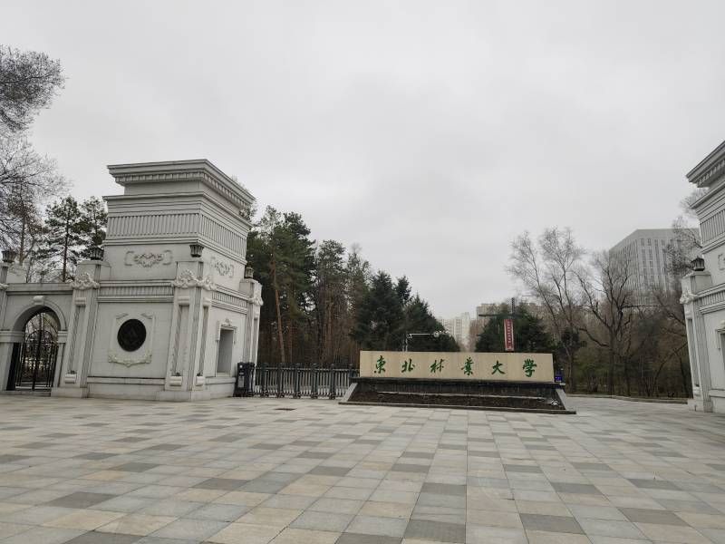 ΢��ͼƬ_20240416200345.jpg