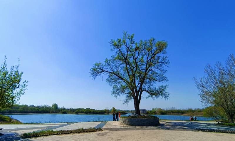 ΢��ͼƬ_20240501155053.jpg
