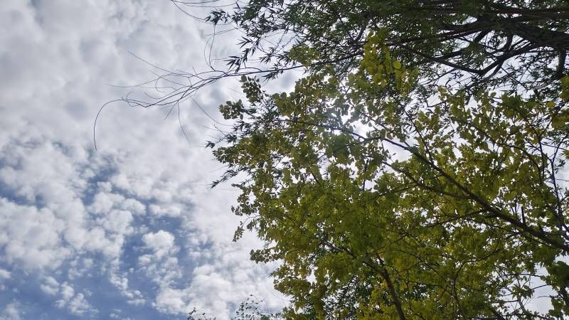 ΢��ͼƬ_20240518205214.jpg