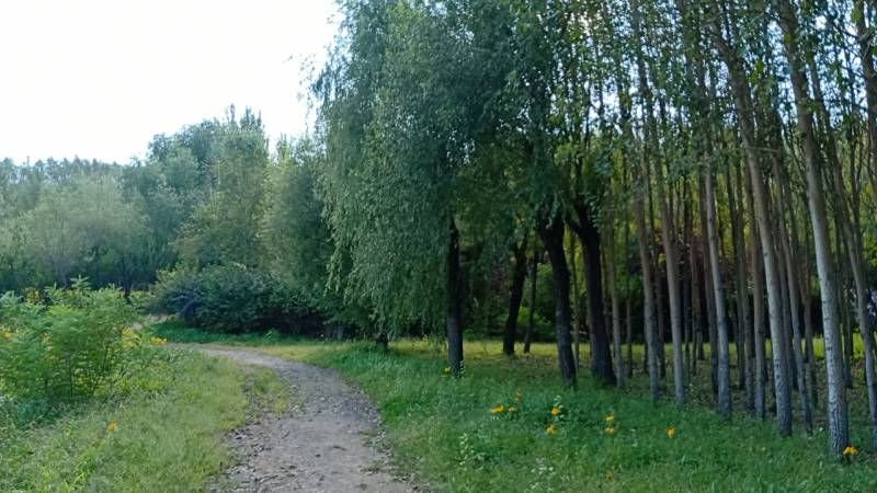 ΢��ͼƬ_20240903223836.jpg