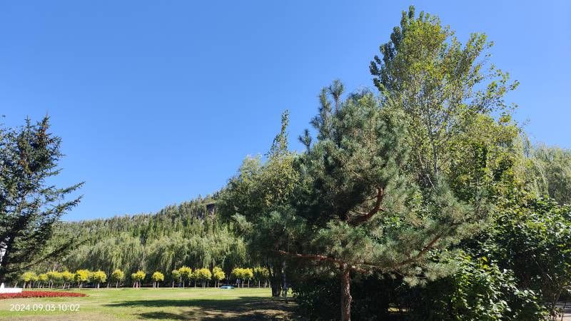 ΢��ͼƬ_20240903224120.jpg