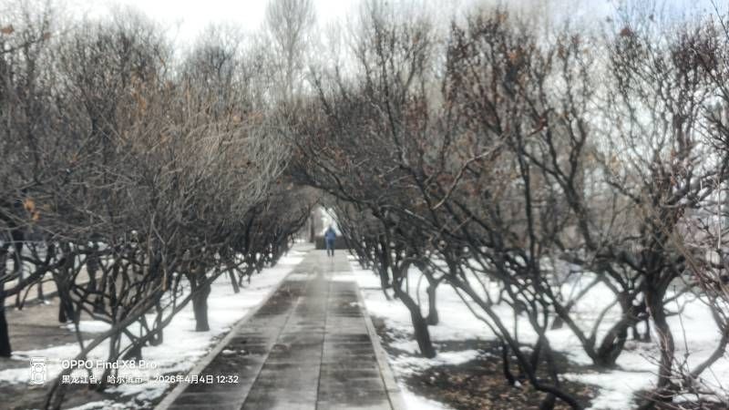 ΢��ͼƬ_20260404181715.jpg