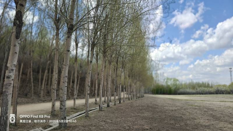 ΢��ͼƬ_20260502182022.jpg