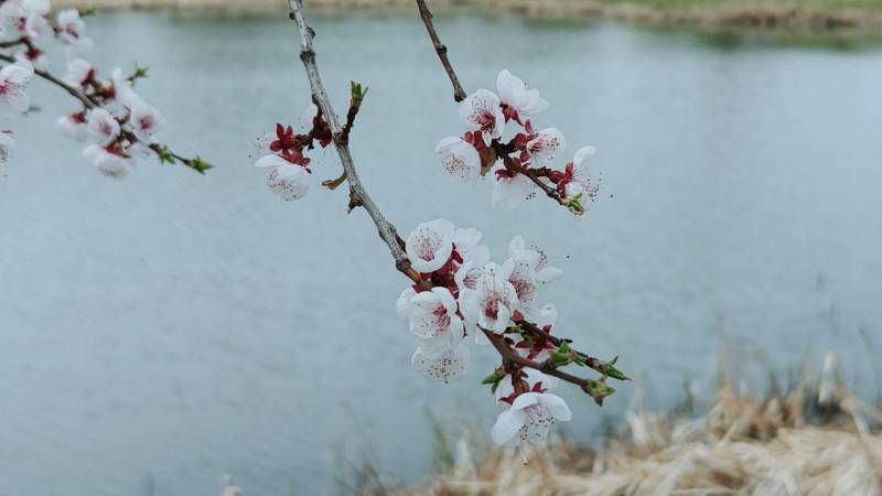΢��ͼƬ_20260505210129.jpg