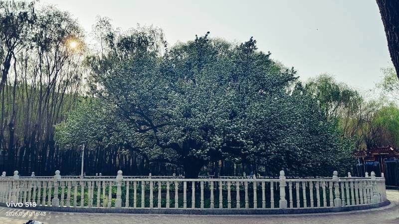΢��ͼƬ_20260512203206.jpg