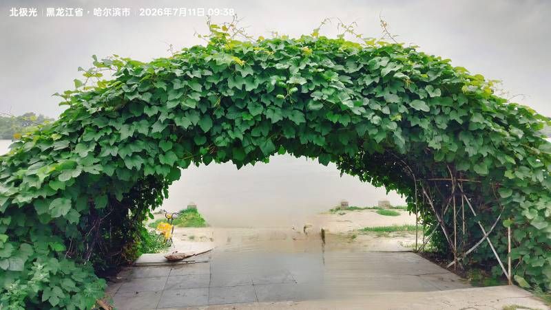΢��ͼƬ_20260711214337.jpg