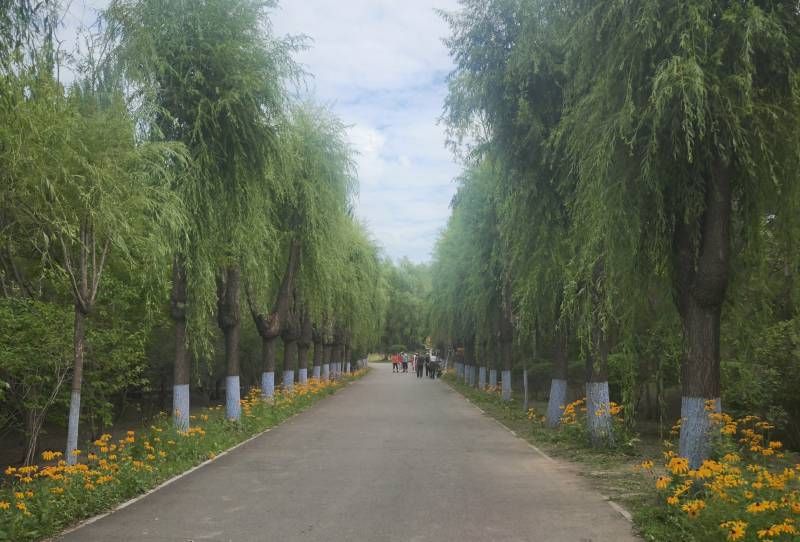 ΢��ͼƬ�༭_20260721204329.jpg
