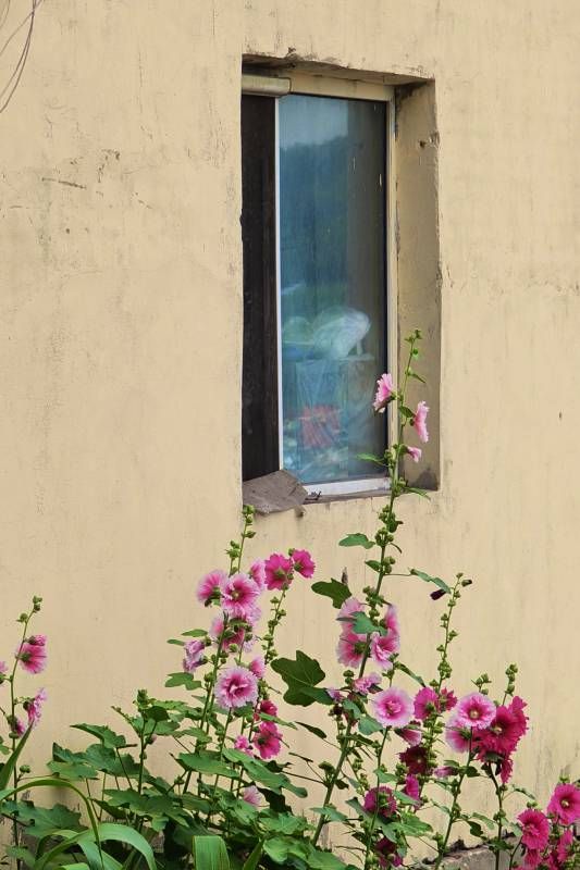 ΢��ͼƬ_20260721203445.jpg