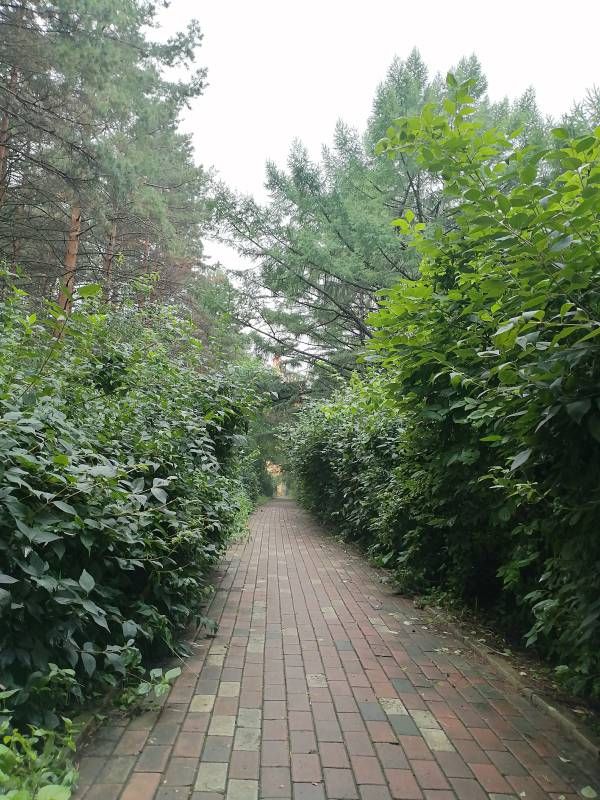 ΢��ͼƬ_20020101013602.jpg