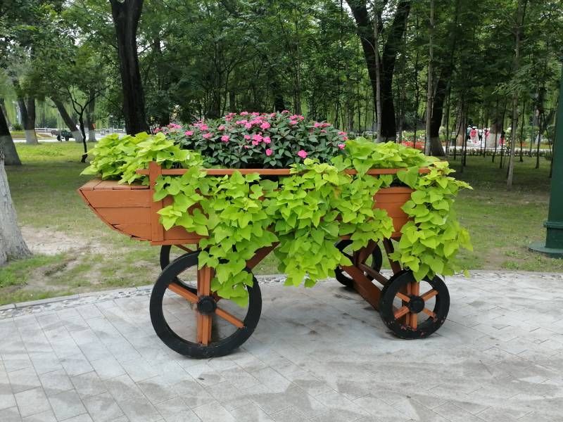 ΢��ͼƬ_20260811203637.jpg