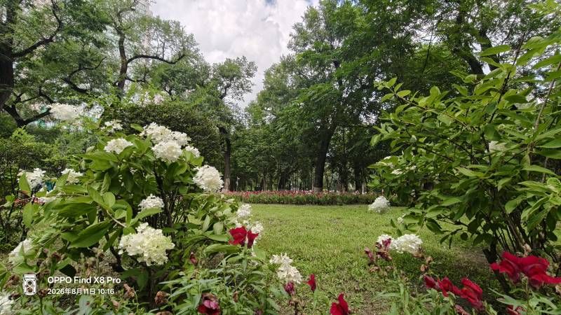 ΢��ͼƬ_20260811204308.jpg