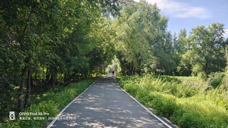 ΢��ͼƬ_20260815211938.jpg