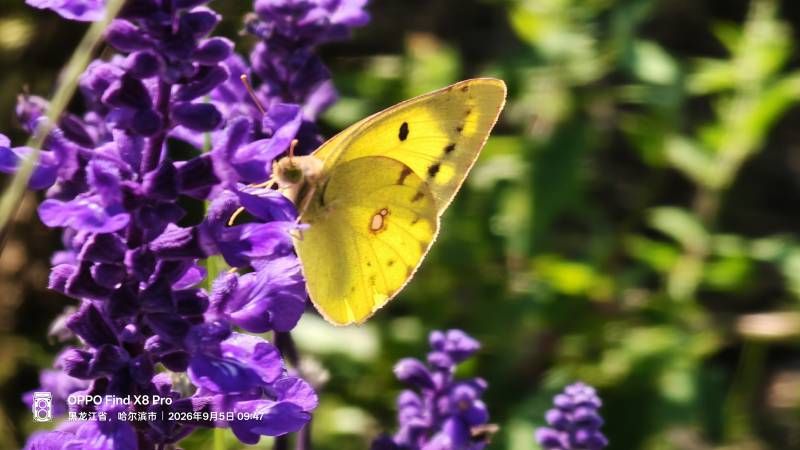 ΢��ͼƬ_20260905181741.jpg