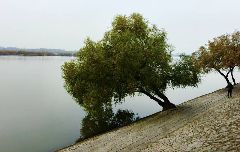 ΢��ͼƬ_20251101180714.jpg