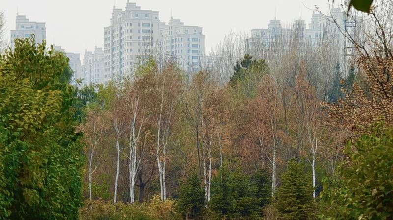΢��ͼƬ_20251101185628.jpg