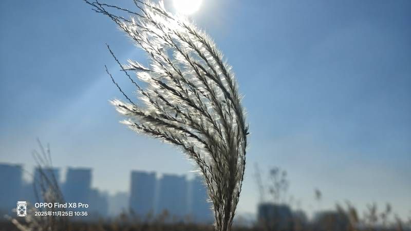 ΢��ͼƬ_20251126134532.jpg