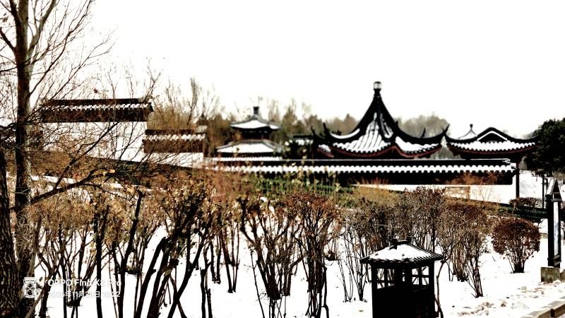΢��ͼƬ_20251129210807.jpg