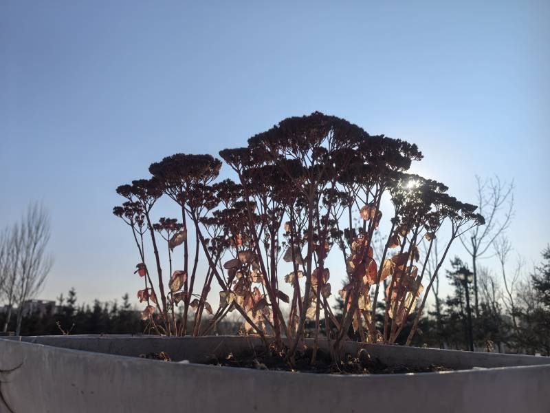΢��ͼƬ_20251220214705.jpg
