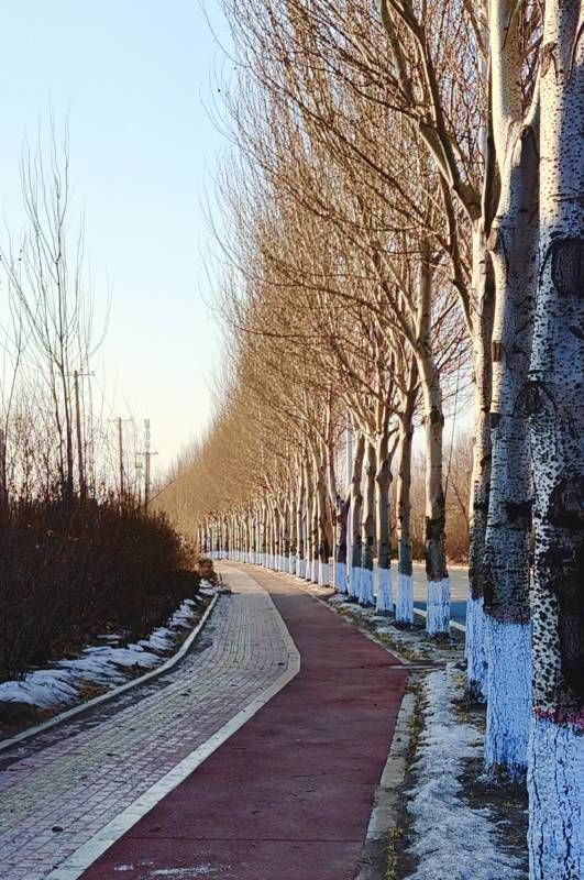 ΢��ͼƬ_20251220220007.jpg