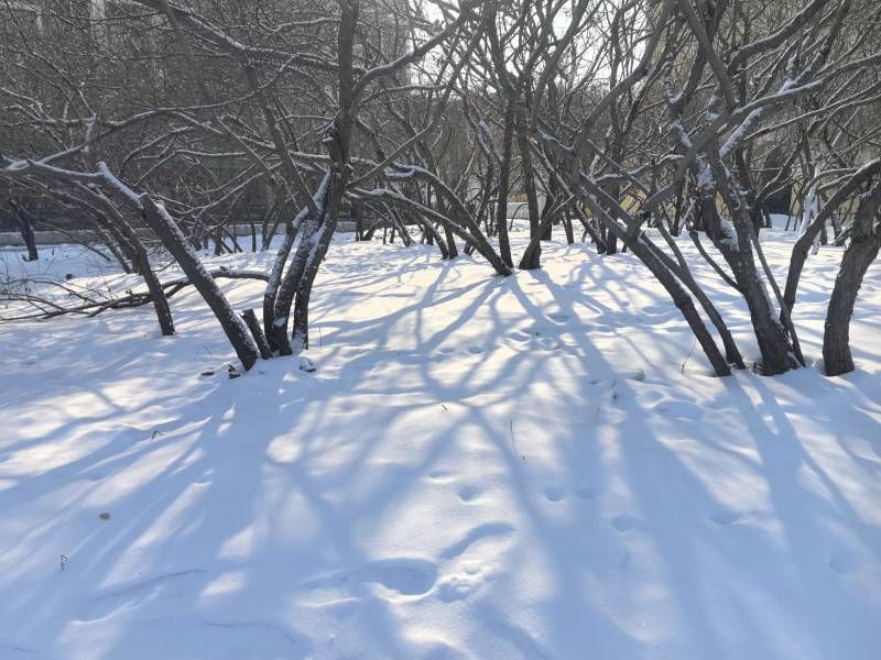 ΢��ͼƬ_20260113195704.jpg