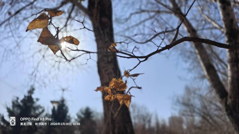 ΢��ͼƬ_20260228214904.jpg