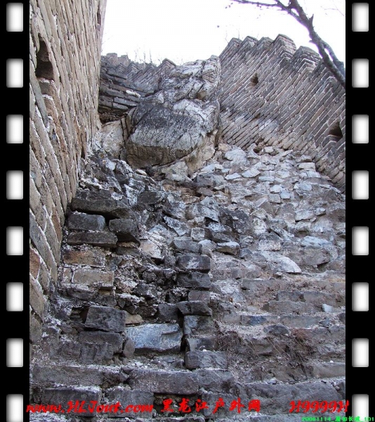 20081114_���۳���_101.jpg