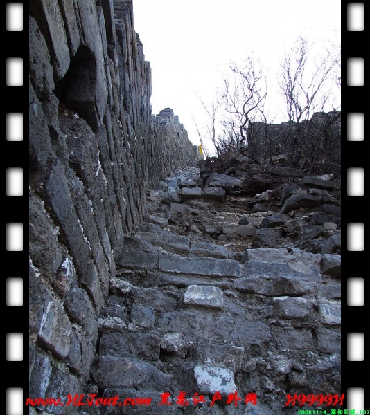 20081114_���۳���_107.jpg